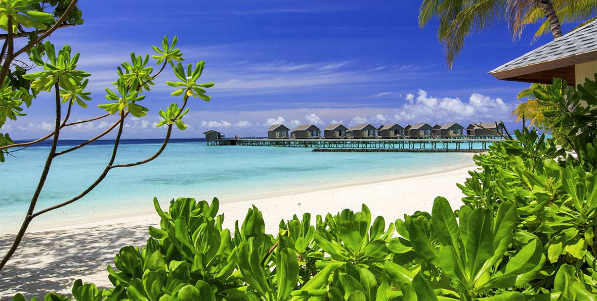 Centara Ras Fushi Resort Maldivas - arenatours.com