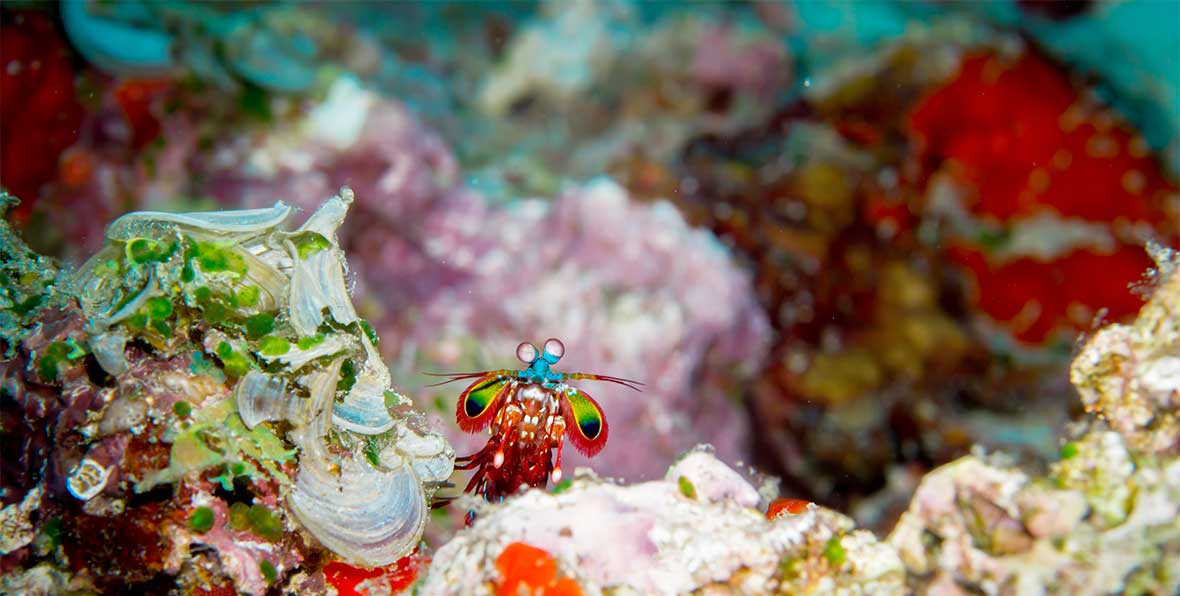 Palm Beach Island Resort Spa Maldives - arenatours.com