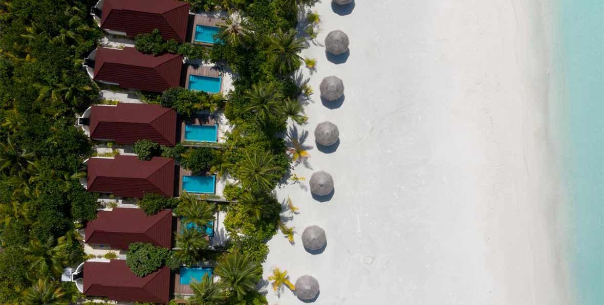 Dhigufaru Island Resort Maldives - arenatours.com