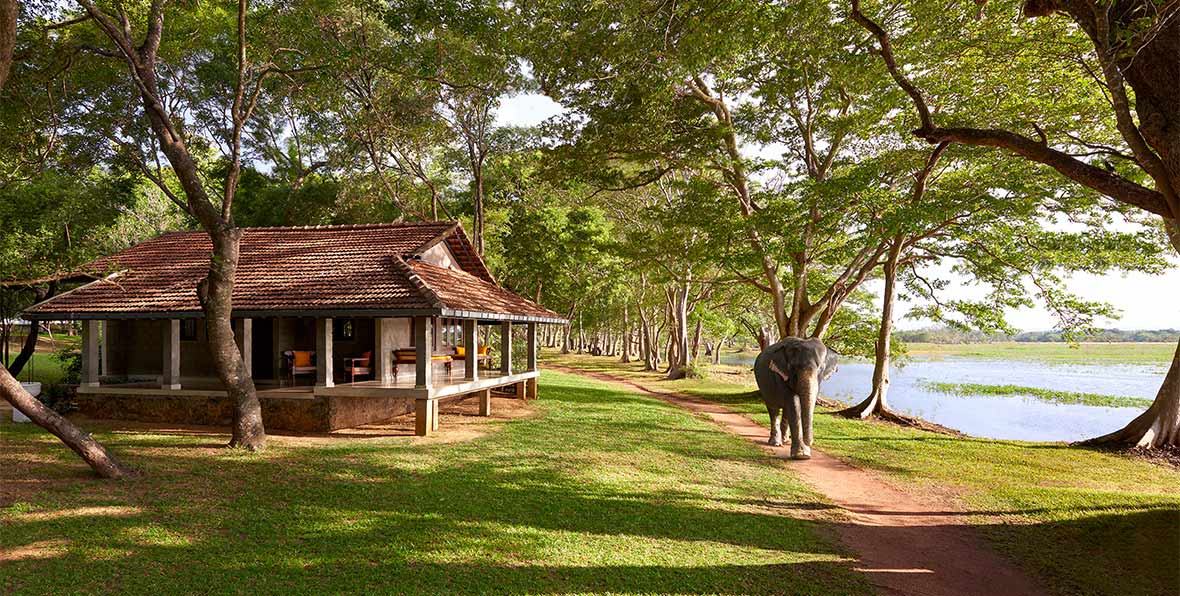 Habarana Village By Cinnamon Sri Lanka - arenatours.com