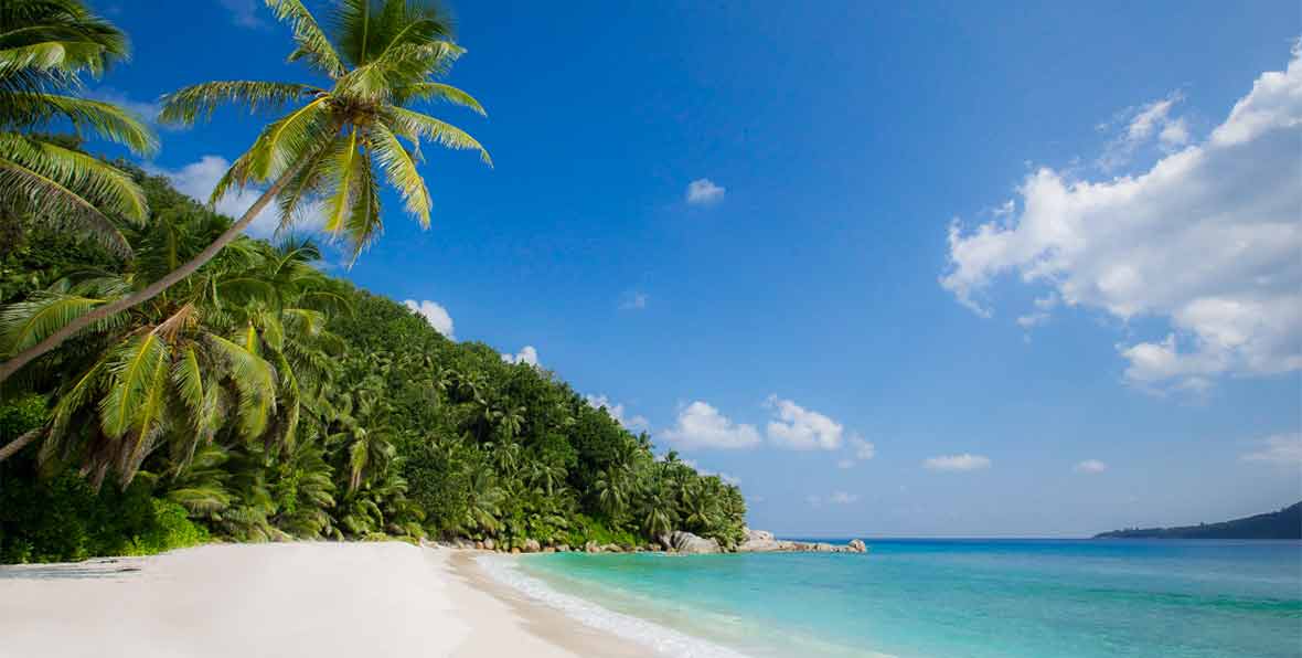 playa con palmera en Six Senses Seychelles