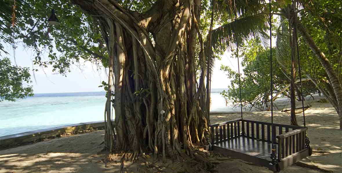 Embudu Village Maldives Resort - arenatours.com