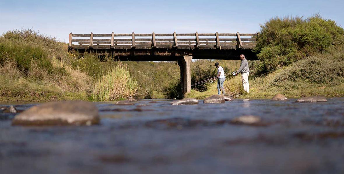 The Ark Lodge Aberdare National Park Kenia - arenatours.com