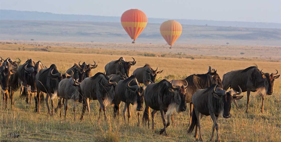 Safari en globo en Masai Mara al amanecer con desayuno