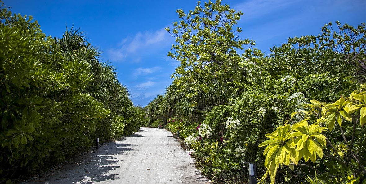 Hondaafushi Island Resort Maldives - arenatours.com