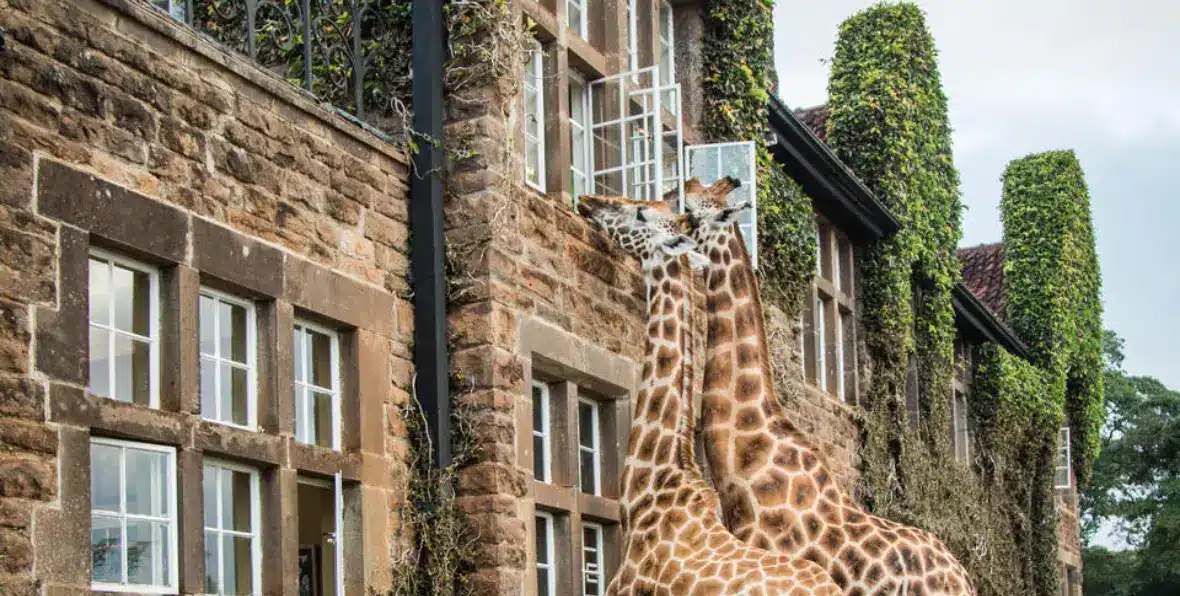 Giraffe Manor - arenatours.com -