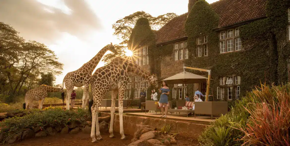 Giraffe Manor - arenatours.com -