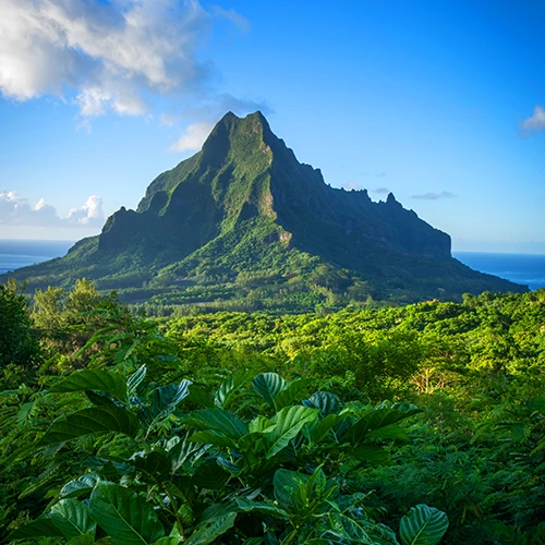 Viajes A Moorea Polinesia Francesa - arenatours.com - Polinesia Francesa