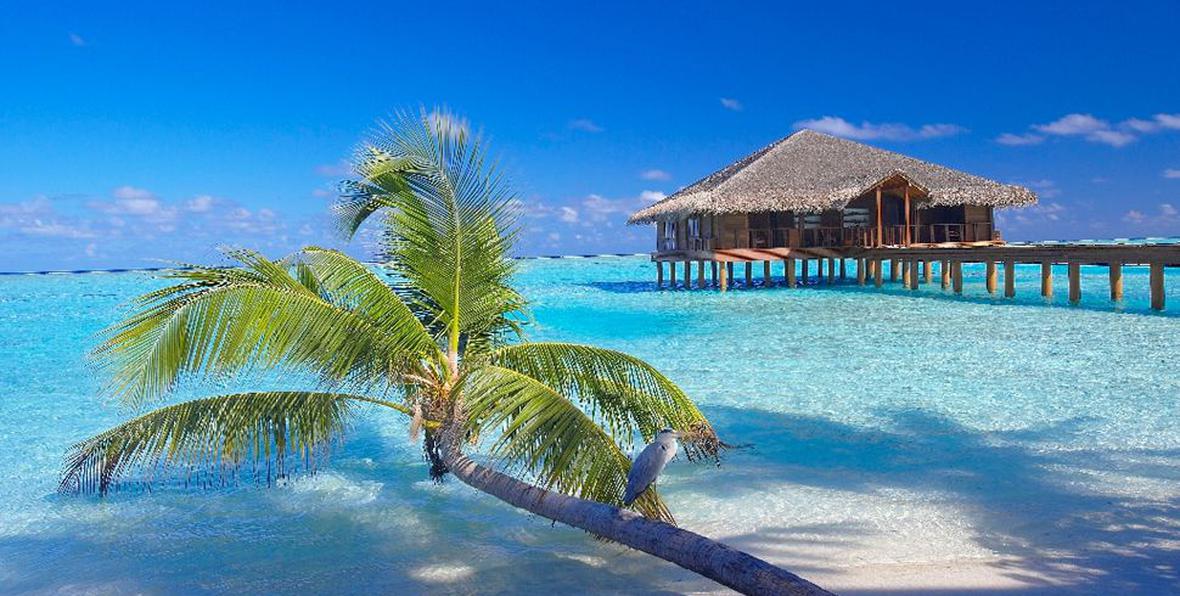 Medhufushi - arenatours.com