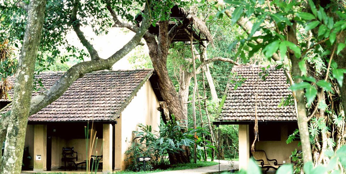 Sigiriya Village - arenatours.com